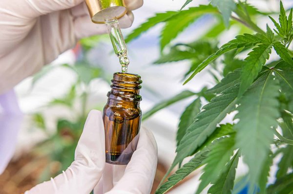 Guide d’achat pour les produits à base de cannabidiol en ligne